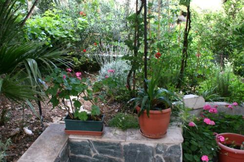 Apartments And Rooms With Parking Space Makarska - 6644