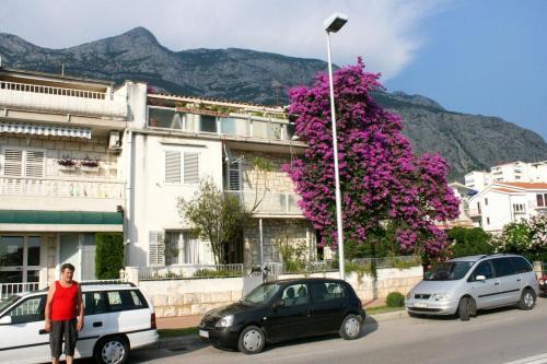 Apartments And Rooms With Parking Space Makarska - 6644