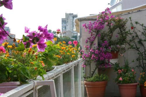 Apartments And Rooms With Parking Space Makarska - 6644
