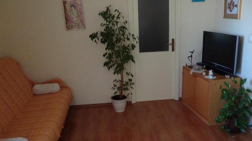 Apartment Bella