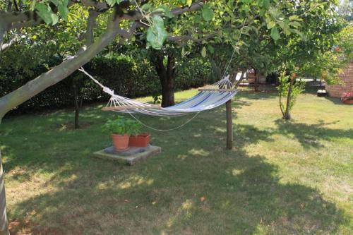 Apartment Umag 7062b