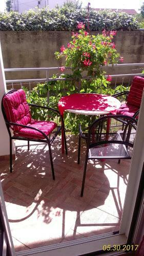 Apartment ?padina