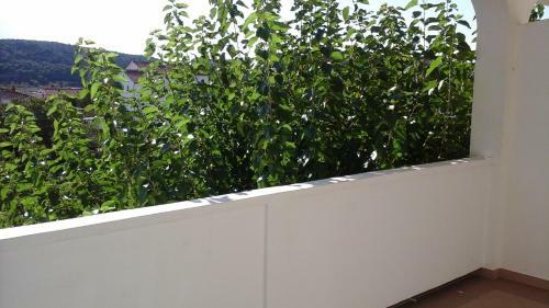 Apartment Lopar 3