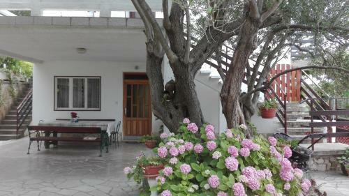 Apartments Bojana Rab