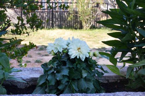Apartment Biograd Na Moru 368a