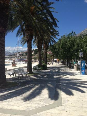 Hostal House Elka