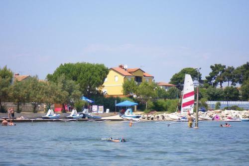 Apartment Novigrad 7118a