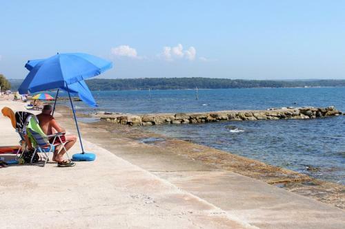Apartment Novigrad 7118a