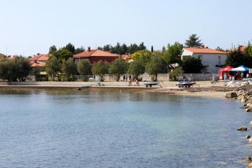 Apartment Novigrad 7118a