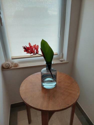 Bed & Breakfast Vila Luka