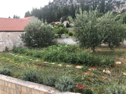 Apartamentos Villa Marina