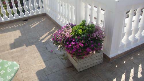 Apartments Vodice Marica