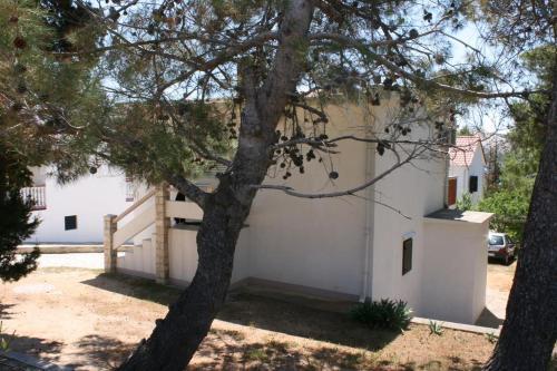 Apartment Stara Novalja 4144a