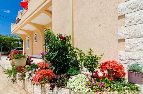 Hostal Guesthouse Somnium