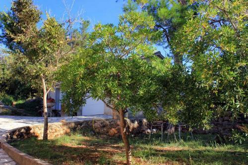 Apartment Stara Novalja 9352a
