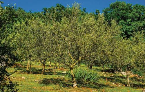 Holiday Home Reburici I