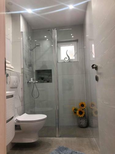 Apartement Vanja
