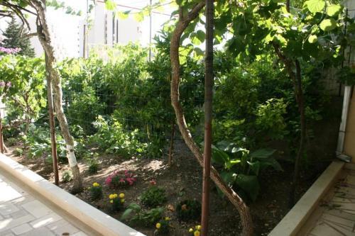 Apartment Makarska 6844a
