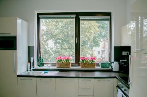Leo Apartment Bastova Bratislava