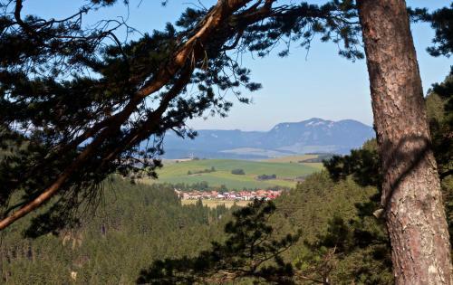 Apartments Kvasni?n�k