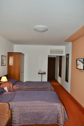 Hostal Penzion Diana