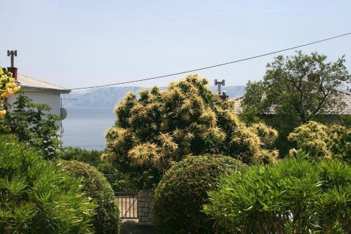 Apartment Novi Vinodolski 5488a