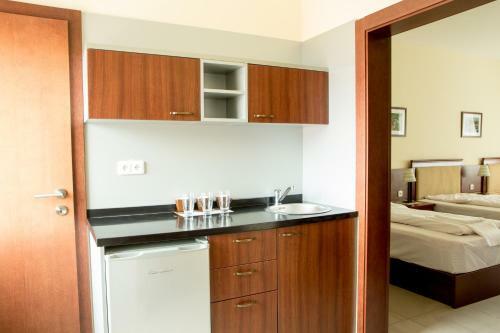 Hotel Penzion Raki