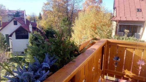 Apartm�n Relax