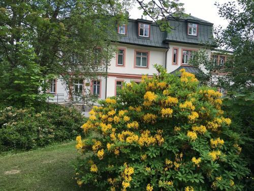 Star� Morava - Apartm�n Helenka