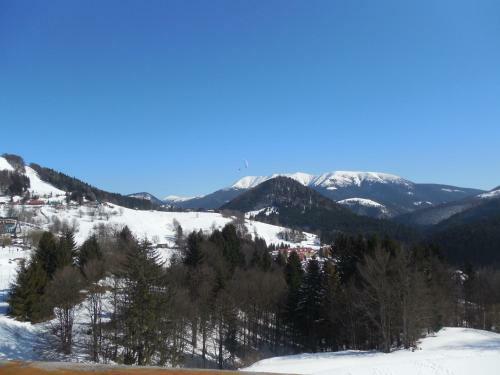 Apartman Marlea