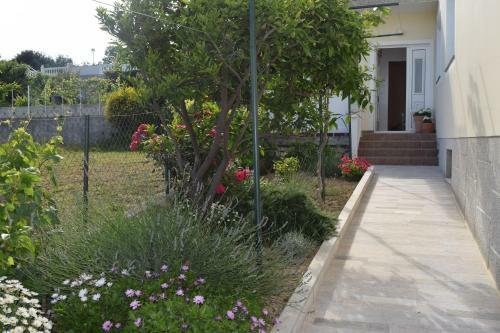 Apartment Branka