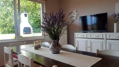 Apartment Branka