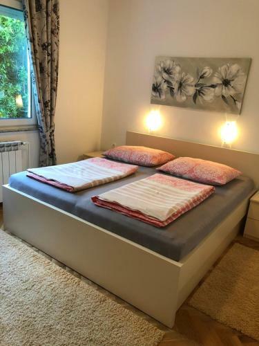 Apartment Branka