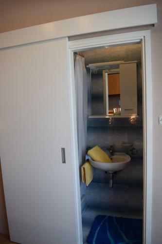Apartment Branka
