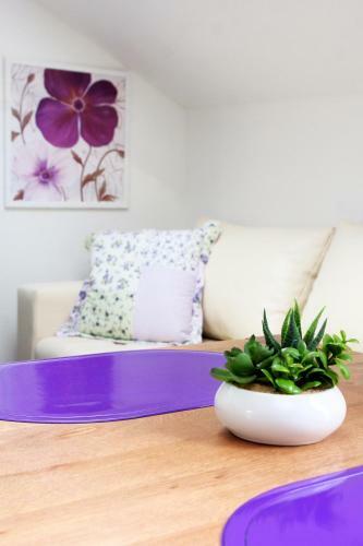 Apartment Luvi