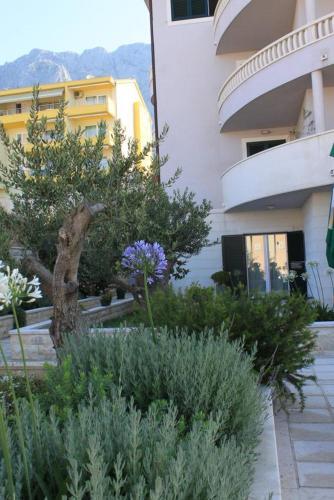 Apartment Makarska 3751e