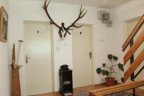 Hostal House Drakuli?