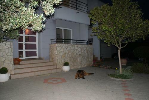 Apartmani Ukalovic
