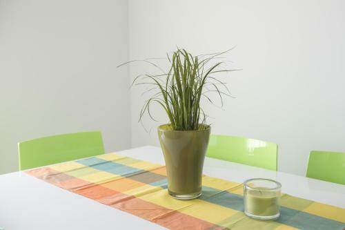 Apartamentos Villa Danex Premium
