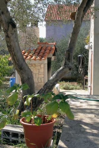 Apartamentos Studio Kozino 678a