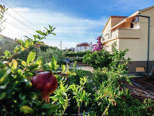 Apartment Matea Biograd