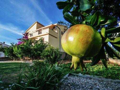 Apartment Matea Biograd