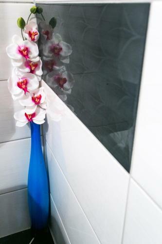 Apartamentos Blue Symphony Old Town