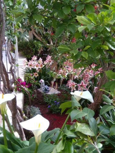 Apartmani Marinka Viskovic