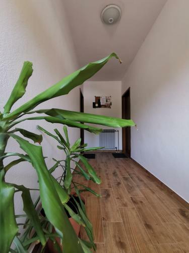 Apartment Martina