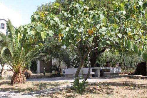 Apartment Slatinska III