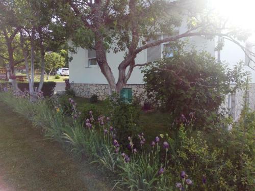 Hostal Guest House Lipov Hlad