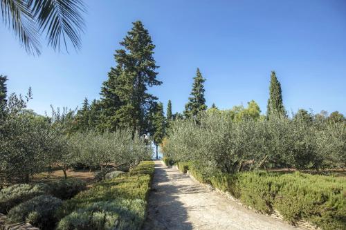 Hotel Bluesun Resort Velaris