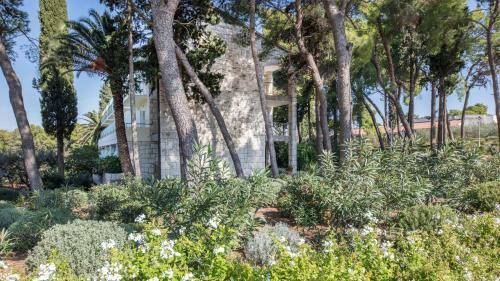 Hotel Bluesun Resort Velaris