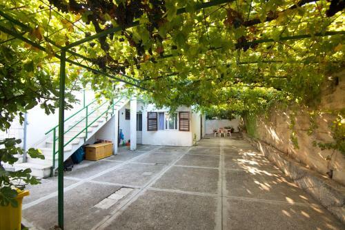 Apartments Anto
